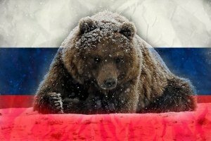 Russian bear